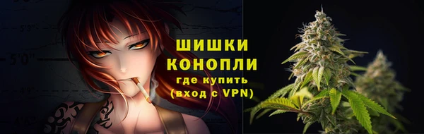 ГАЛЛЮЦИНОГЕННЫЕ ГРИБЫ Заводоуковск