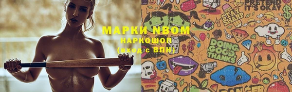 твердый Елизово