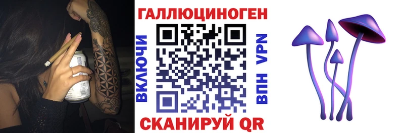 Галлюциногенные грибы Psilocybine cubensis  Купить закладки  Кадников 